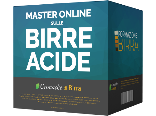 Master sulle birre acide